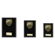 Cobra Plaque Football Goalkeeper Trophy | 175mm | Black