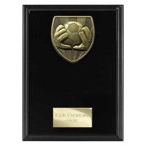 Cobra Plaque Football Goalkeeper Trophy | 175mm | Black