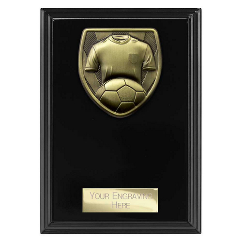 Cobra Plaque Football Shirt & Ball Trophy | 150mm | Black