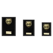 Cobra Plaque Football Shirt & Ball Trophy | 175mm | Black
