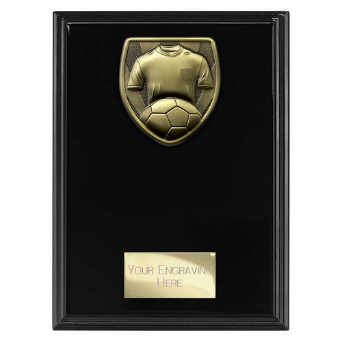 Cobra Plaque Football Shirt & Ball Trophy | 175mm | Black