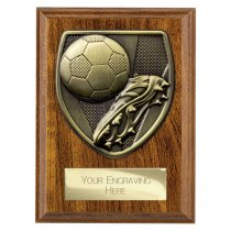 Cobra Plaque Football Boot & Ball Trophy | 125mm | Brown