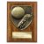 Cobra Plaque Football Boot & Ball Trophy | 125mm | Brown - PN24195B