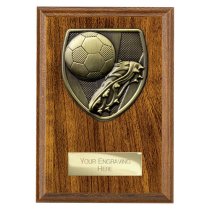 Cobra Plaque Football Boot & Ball Trophy | 150mm | Brown