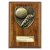 Cobra Plaque Football Boot & Ball Trophy | 150mm | Brown - PN24195C