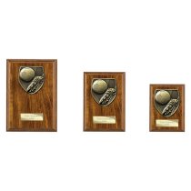 Cobra Plaque Football Boot & Ball Trophy | 175mm | Brown