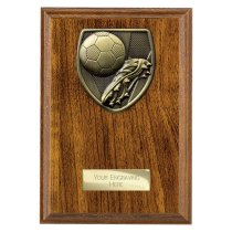 Cobra Plaque Football Boot & Ball Trophy | 175mm | Brown