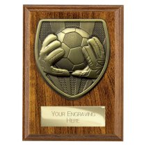 Cobra Plaque Football Goalkeeper Trophy | 125mm | Brown