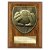 Cobra Plaque Football Goalkeeper Trophy | 125mm | Brown - PN24202B