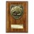 Cobra Plaque Football Goalkeeper Trophy | 150mm | Brown - PN24202C
