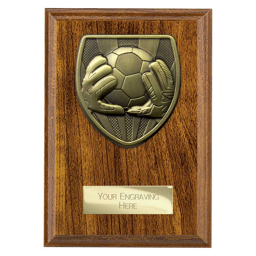 Cobra Plaque Football Goalkeeper Trophy | 150mm | Brown