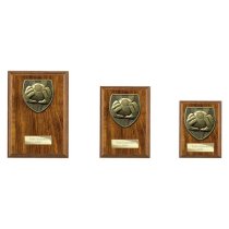 Cobra Plaque Football Goalkeeper Trophy | 175mm | Brown