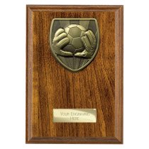 Cobra Plaque Football Goalkeeper Trophy | 175mm | Brown