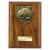Cobra Plaque Football Goalkeeper Trophy | 175mm | Brown - PN24202D