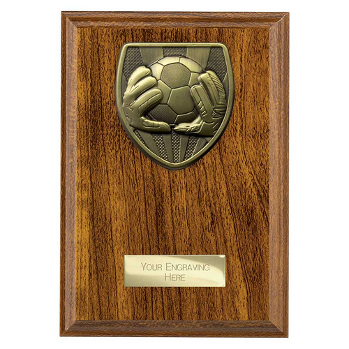 Cobra Plaque Football Goalkeeper Trophy | 175mm | Brown