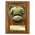 Cobra Plaque Football Shirt & Ball Trophy | 125mm | Brown - PN24206B