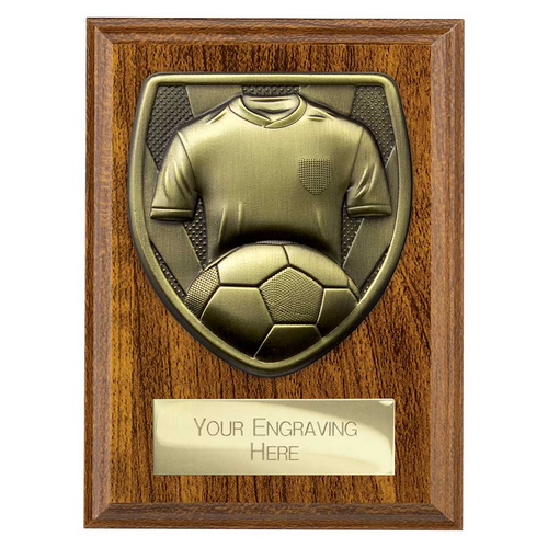 Cobra Plaque Football Shirt & Ball Trophy | 125mm | Brown
