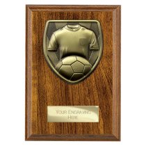 Cobra Plaque Football Shirt & Ball Trophy | 150mm | Brown