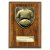 Cobra Plaque Football Shirt & Ball Trophy | 150mm | Brown - PN24206C