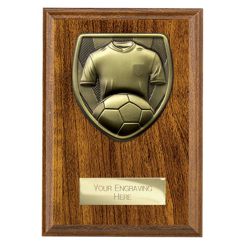 Cobra Plaque Football Shirt & Ball Trophy | 150mm | Brown