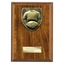 Cobra Plaque Football Shirt & Ball Trophy | 175mm | Brown