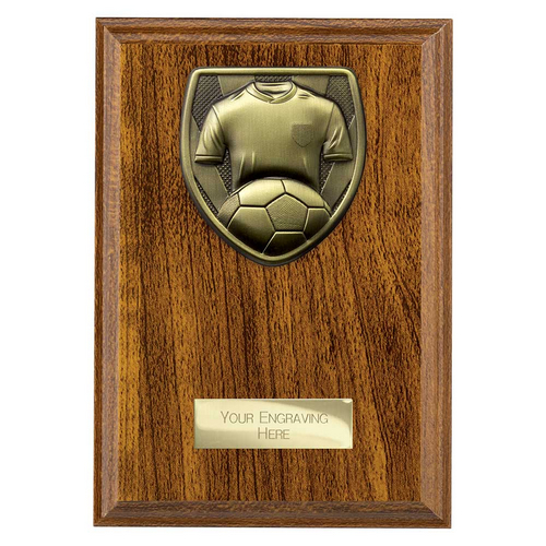 Cobra Plaque Football Shirt & Ball Trophy | 175mm | Brown