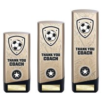 Prime Heavyweight Football Trophy | Thank You Coach | 220mm | Gold