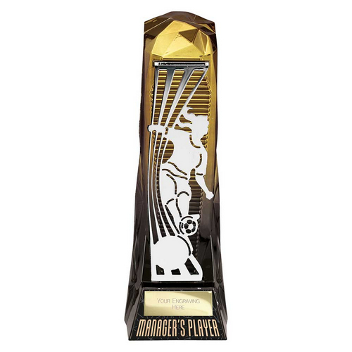 Shard Trophy Shard Trophy