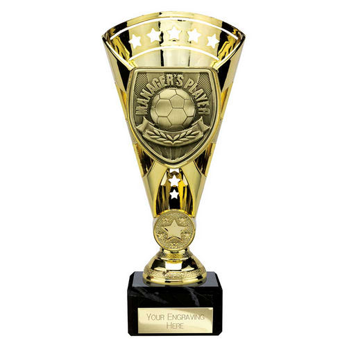 Cobra Star Football Trophy | Managers Player | 210mm | Gold