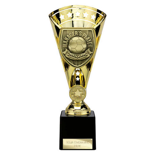 Cobra Star Football Trophy | Managers Player | 230mm | Gold