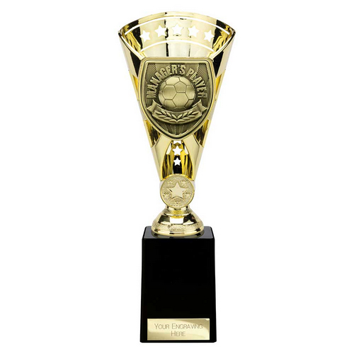 Cobra Star Football Trophy | Managers Player | 255mm | Gold