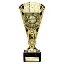 Cobra Star Football Trophy | Player of the Year | 210mm | Gold