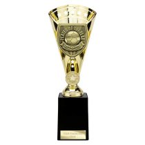 Cobra Star Football Trophy | Player of the Year | 255mm | Gold