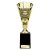 Cobra Star Football Trophy | Player of the Year | 255mm | Gold - TG25111C