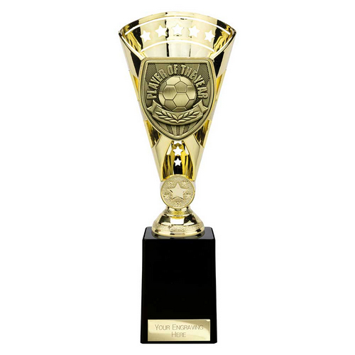 Cobra Star Football Trophy | Player of the Year | 255mm | Gold