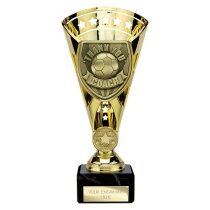 Cobra Star Football Trophy | Thank you Coach | 210mm | Gold