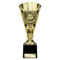 Cobra Star Football Trophy | Thank you Coach | 230mm | Gold
