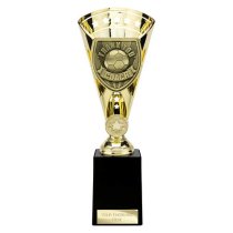 Cobra Star Football Trophy | Thank you Coach | 255mm | Gold