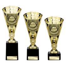 Cobra Star Football Trophy | Thank you Coach | 255mm | Gold