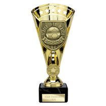 Cobra Star Football Trophy | Player of the Match | 210mm | Gold