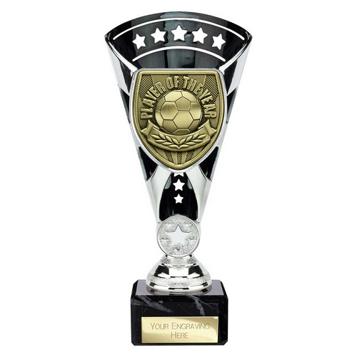 Cobra Star Football Trophy | Player of the Year | 210mm | Black & Silver