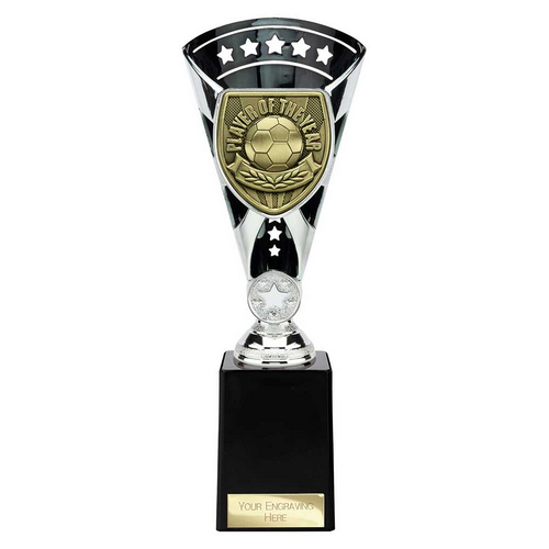 Cobra Star Football Trophy | Player of the Year | 255mm | Black & Silver