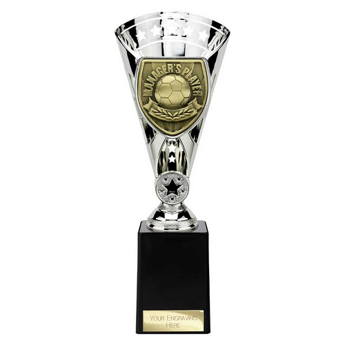 Cobra Star Football Trophy | Managers Player | 255mm | Silver