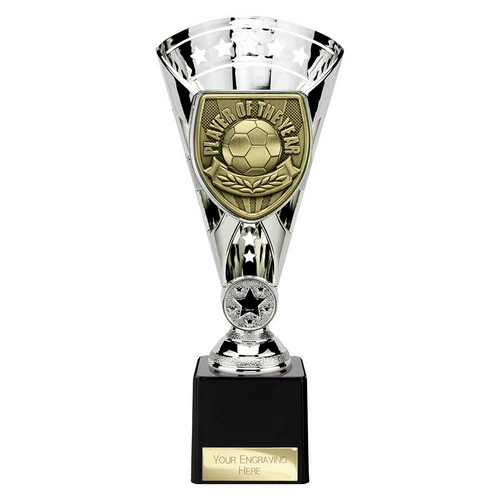 Cobra Star Football Trophy | Player of the Year | 230mm | Silver