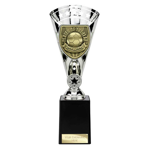 Cobra Star Football Trophy | Player of the Year | 255mm | Silver