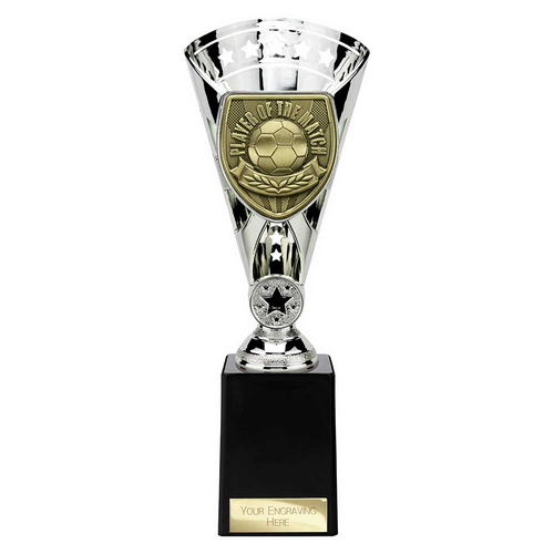 Cobra Star Football Trophy | Player of the Match | 255mm | Silver