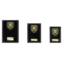 Cobra Plaque Football Trophy | Parents Player | 175mm | Black