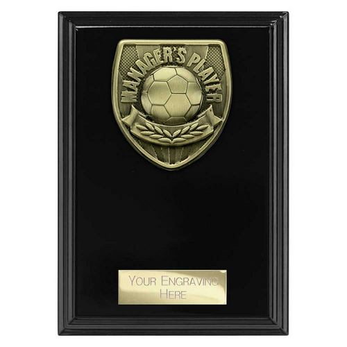 Cobra Plaque Football Trophy | Managers Player | 150mm | Black