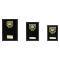 Cobra Plaque Football Trophy | Managers Player | 175mm | Black