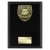 Cobra Plaque Football Trophy | Managers Player | 175mm | Black - PL25109D